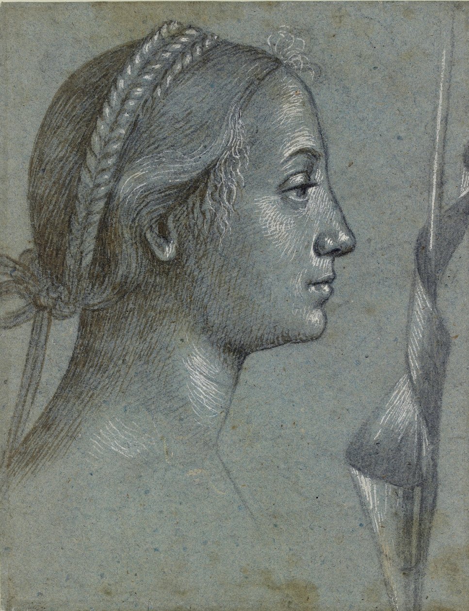 Hoofd van een Vrouw met een Vaandel om een Paal gewikkeld, laat 15e eeuw door Vittore Carpaccio