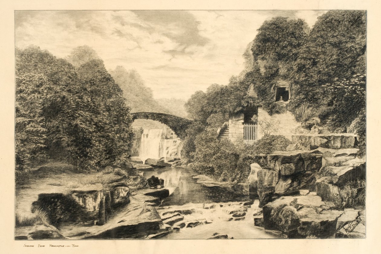 Jesmond Dene door W.T. Dodd