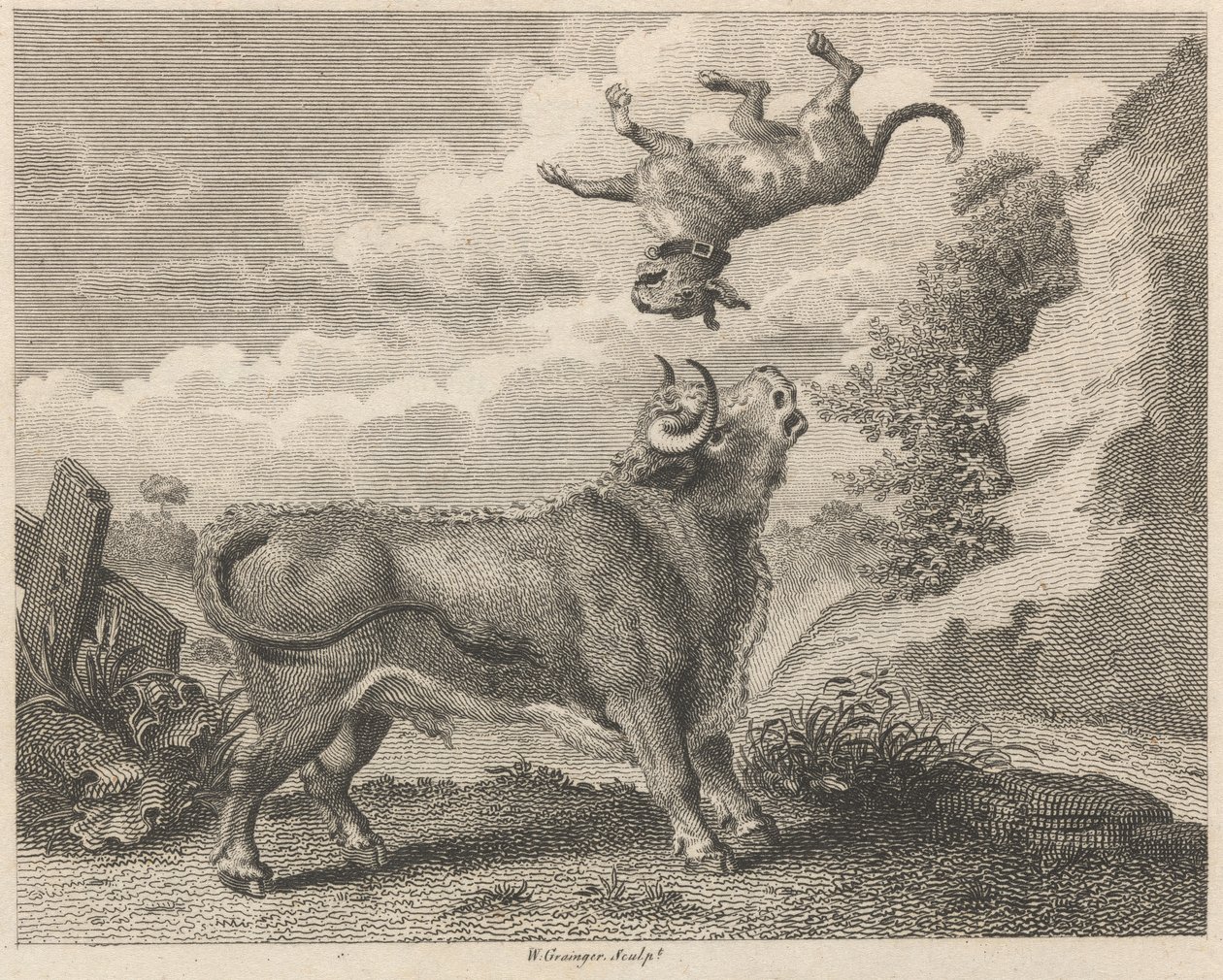 De Stier en de Mastiff door W. Grainger