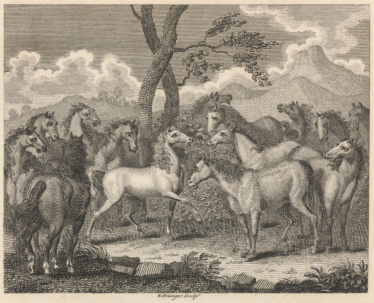 De raad van de paarden door W. Grainger