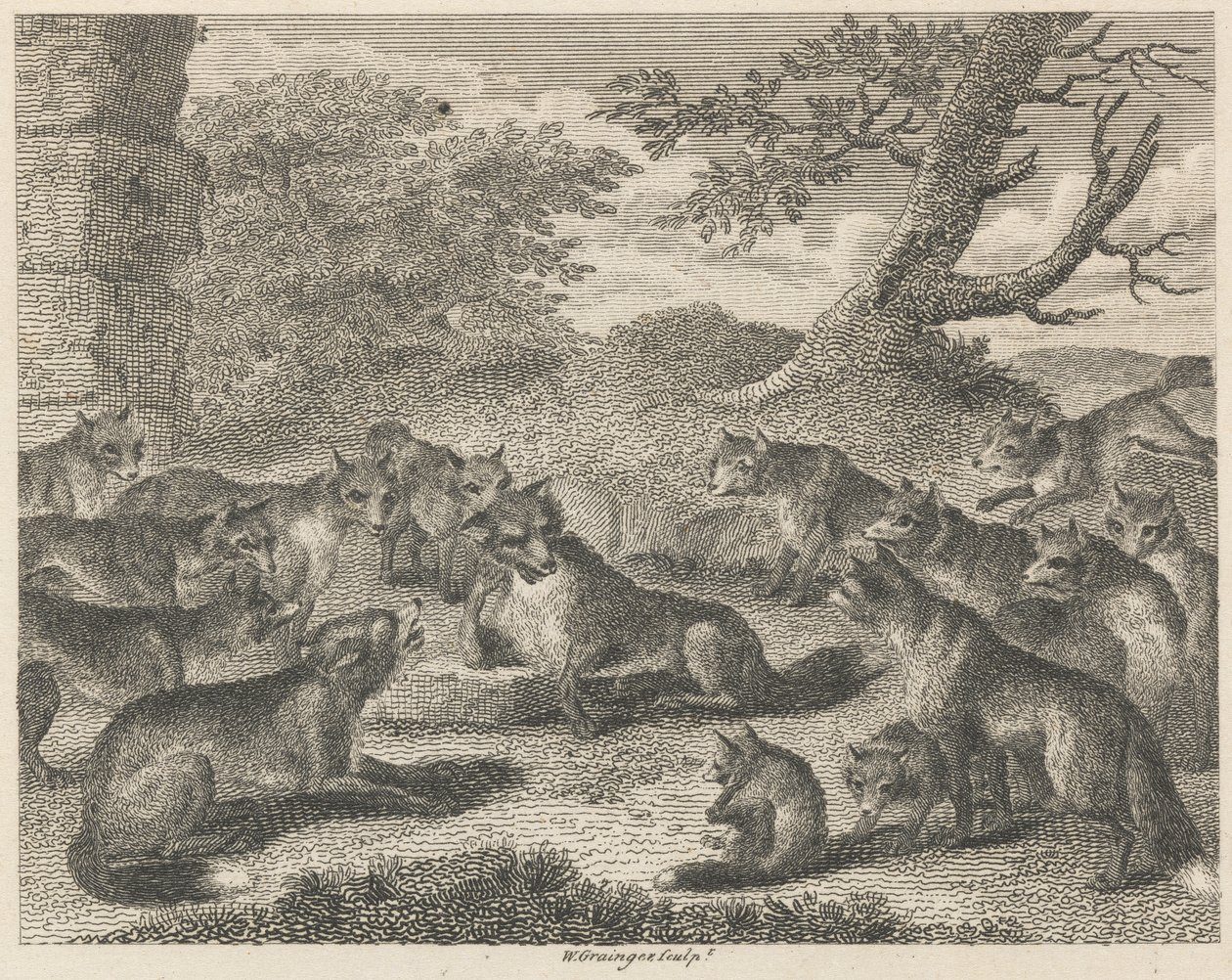 De vos op het punt van sterven door W. Grainger