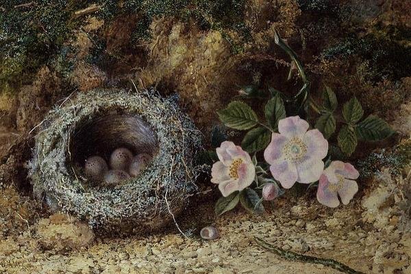 Vogelnest en hondsrozen door W. M. Arundale