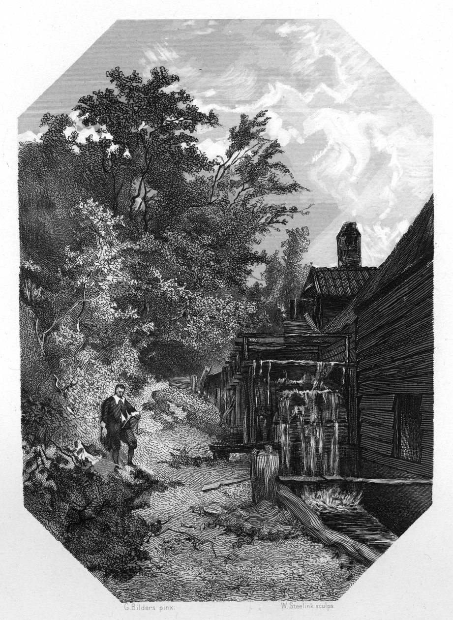 Jacob van Ruysdael, 17e-eeuwse Nederlandse landschapsschilder door W. Steelink