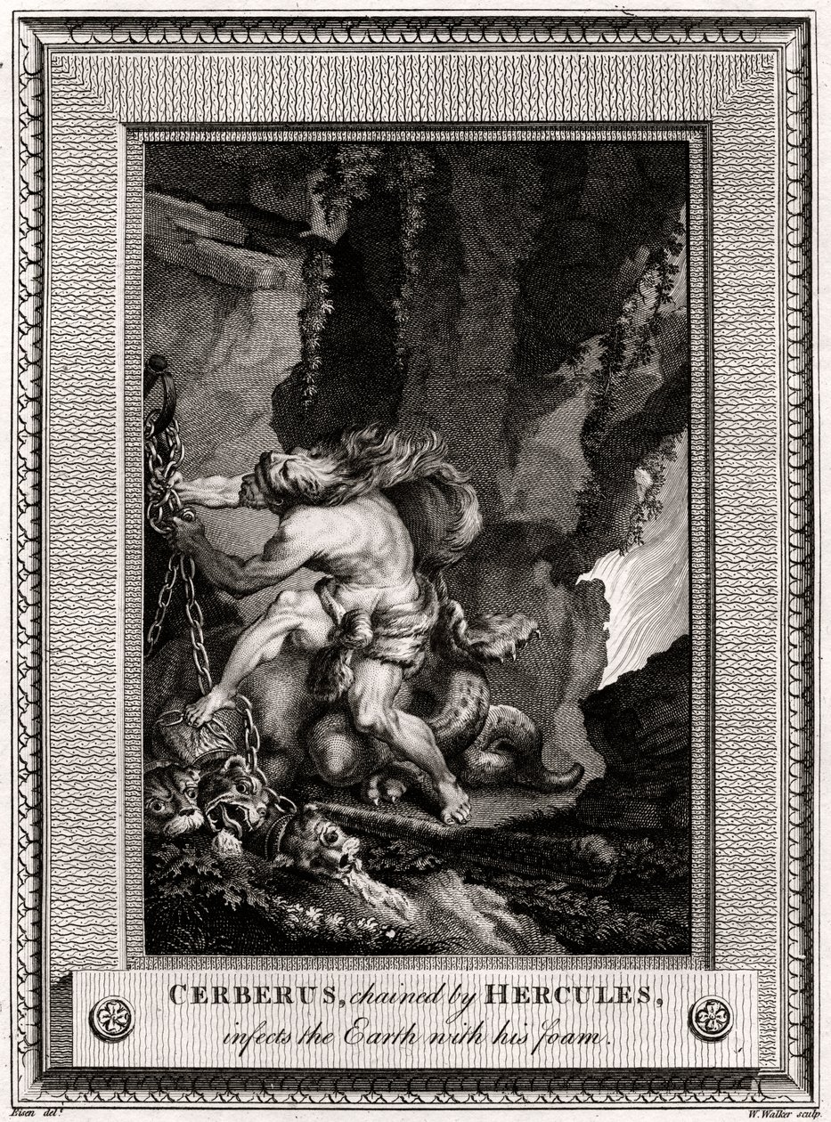 Cerberus, geketend door Hercules, besmet de aarde met zijn schuim door W. Walker