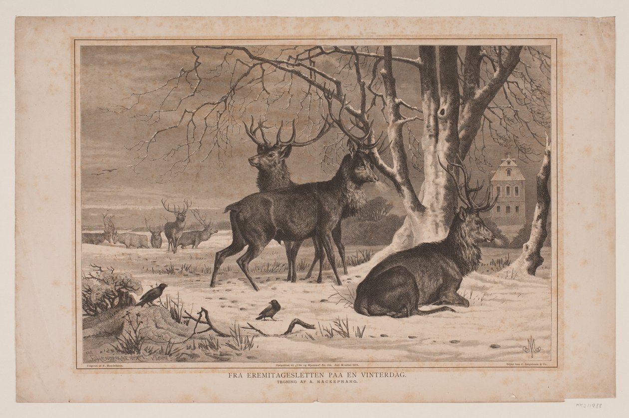 Van de Hermitagevlakte op een winterdag door Waldemar Bøhme