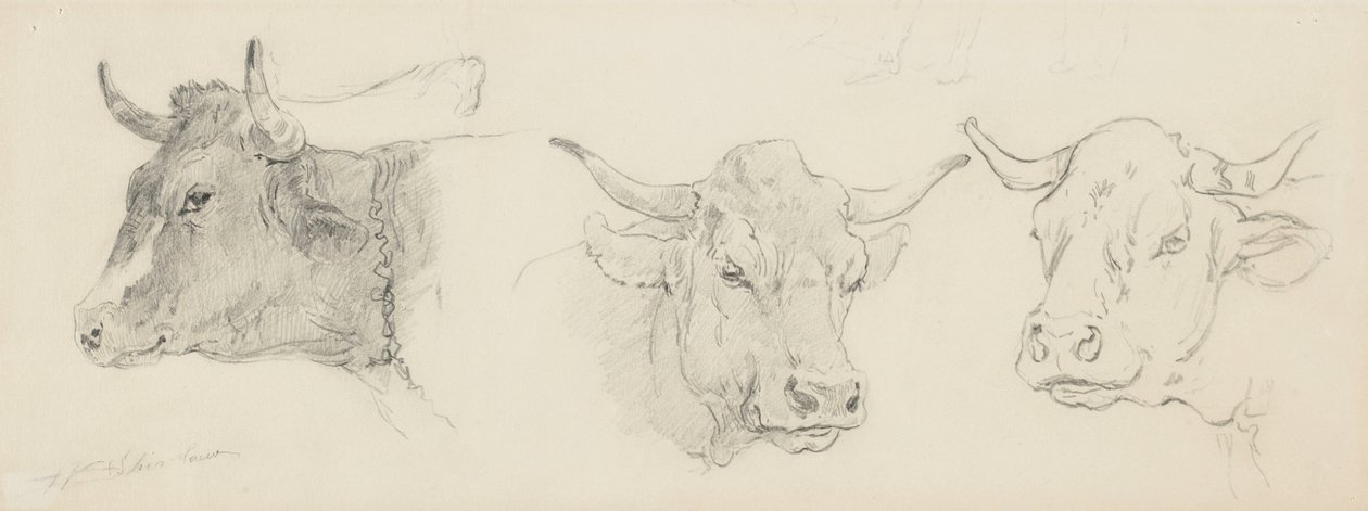 Studie van vee voor schapenscheren, 1872-77 door Walter Shirlaw