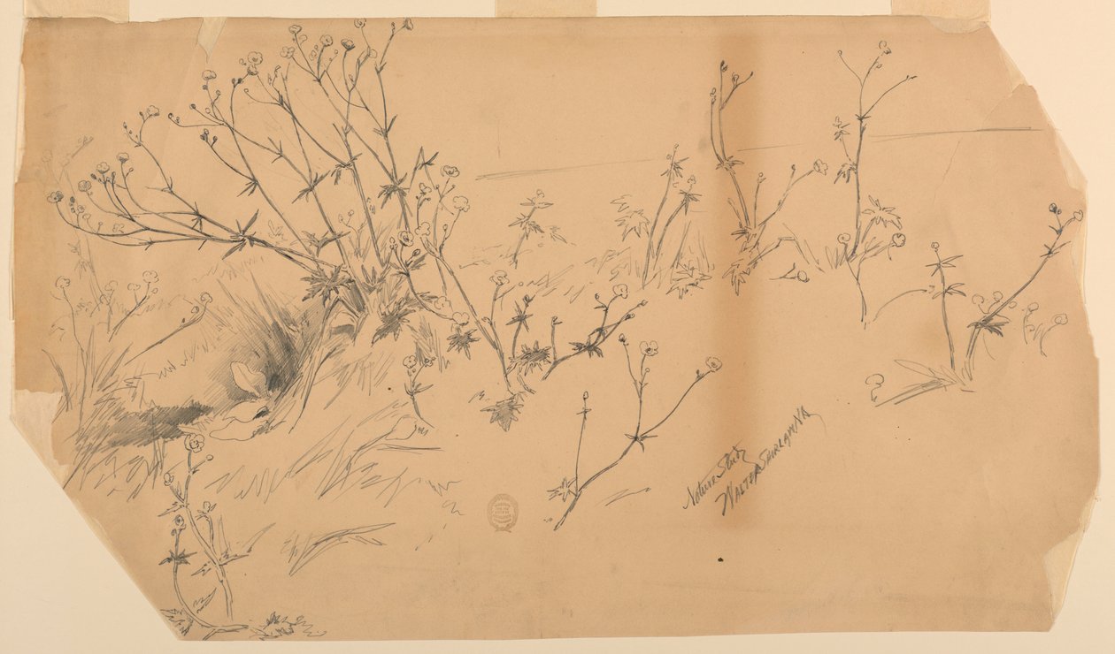 Natuurstudie door Walter Shirlaw