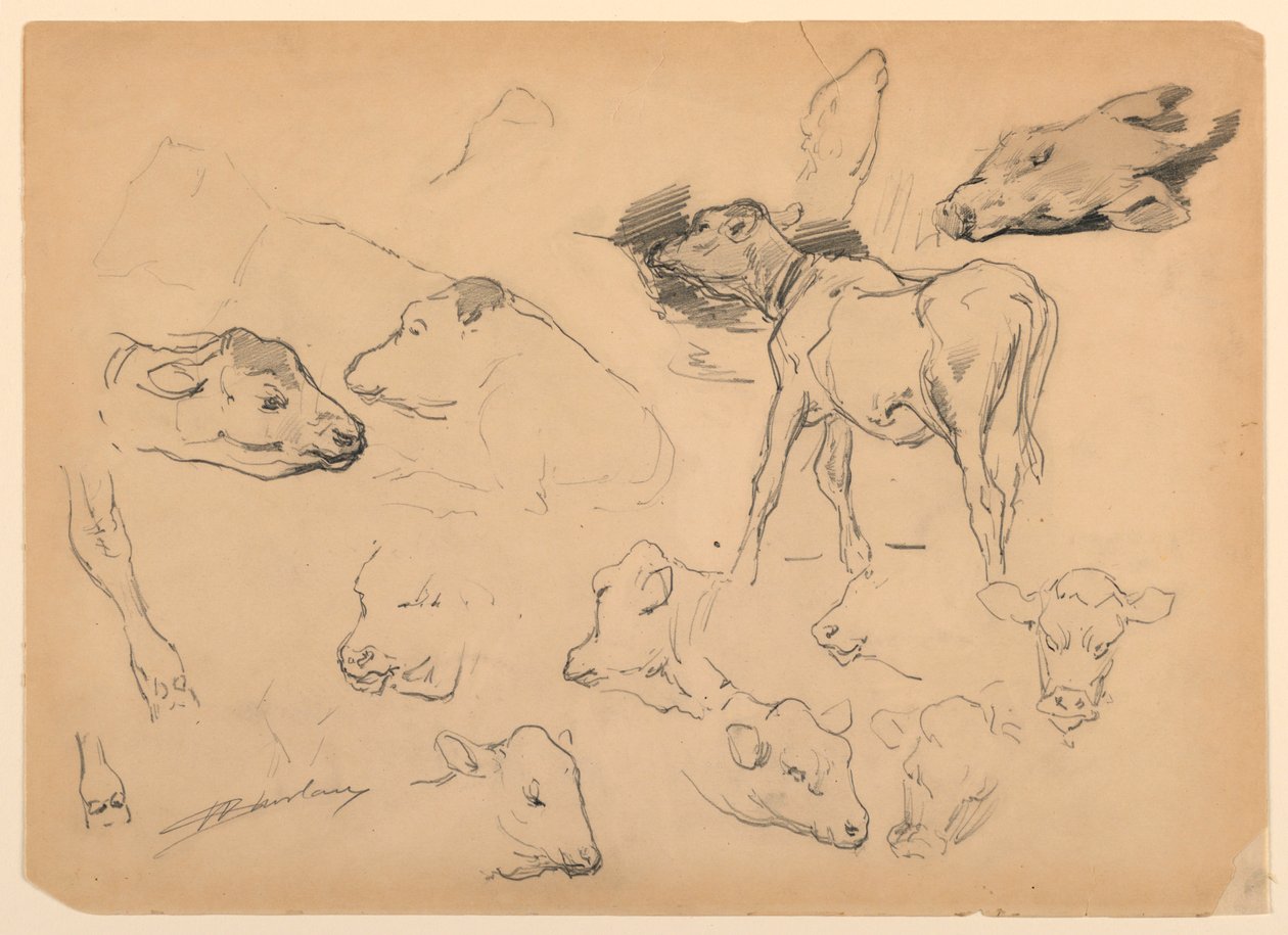 Studies van Vee, Hoofden van Schapen en een Varken door Walter Shirlaw