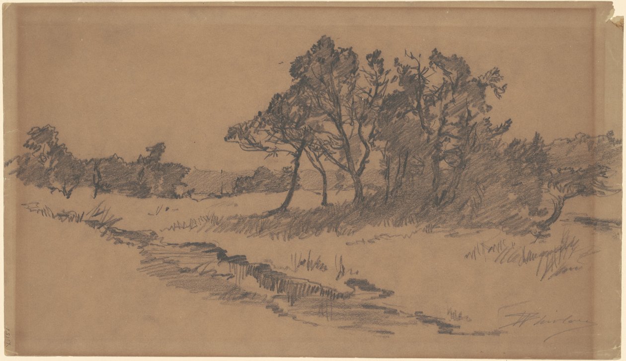 Bomen in een veld door Walter Shirlaw
