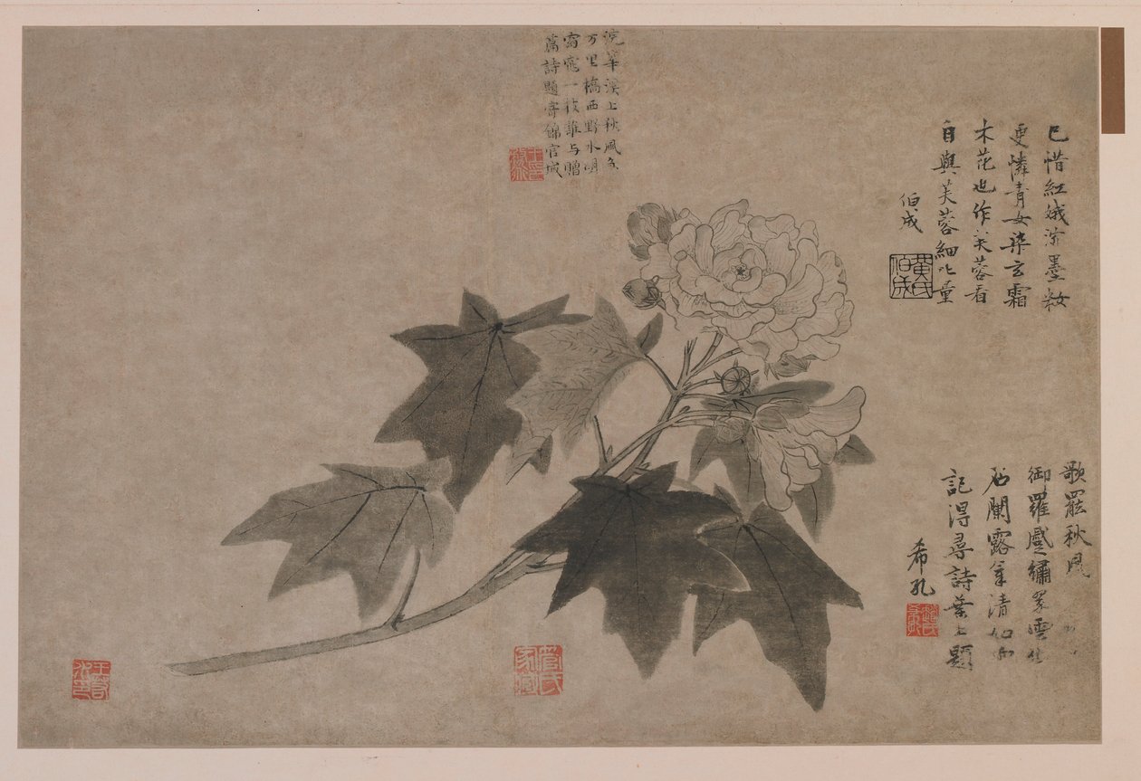 Hibiscus, 1347 door Wang Yuan