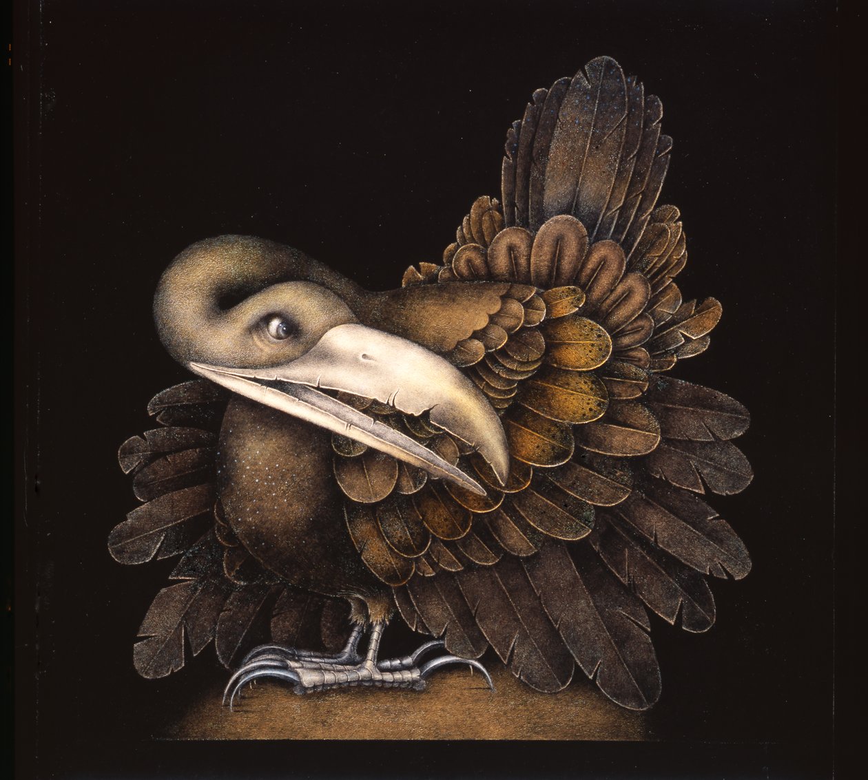 BOMBAX VOGEL door Wayne Anderson