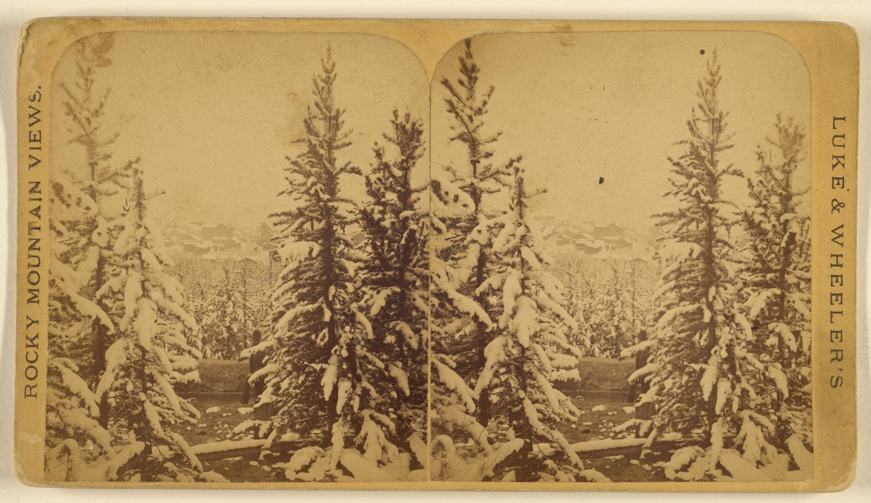 [Bomen met sneeuw, Leadville, Colorado]. door Wellington O. Luke and Dansford Noble Wheeler