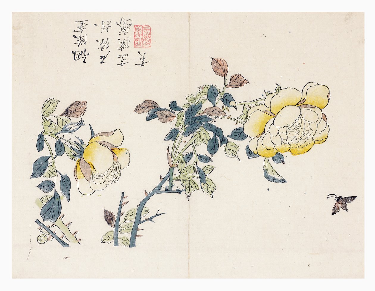 Mosterdzaadtuin door Wen shu Chao