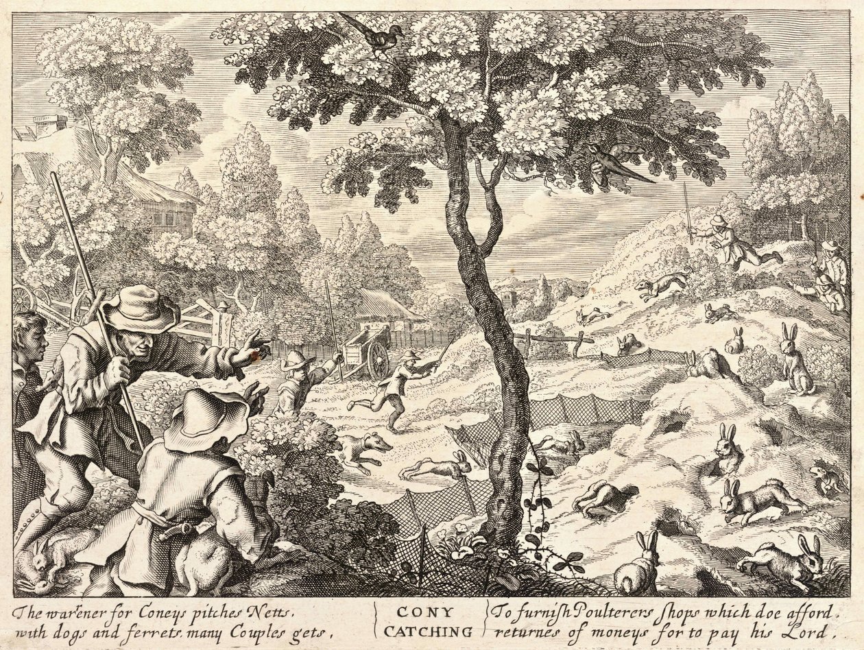 Konijnen vangen door Wenceslaus Hollar