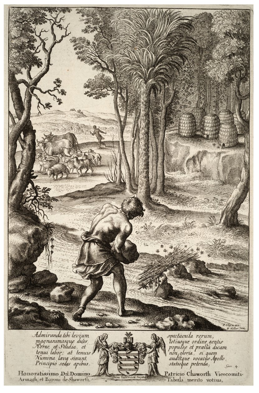 Bijenzwermen. Staat 1 door Wenceslaus Hollar