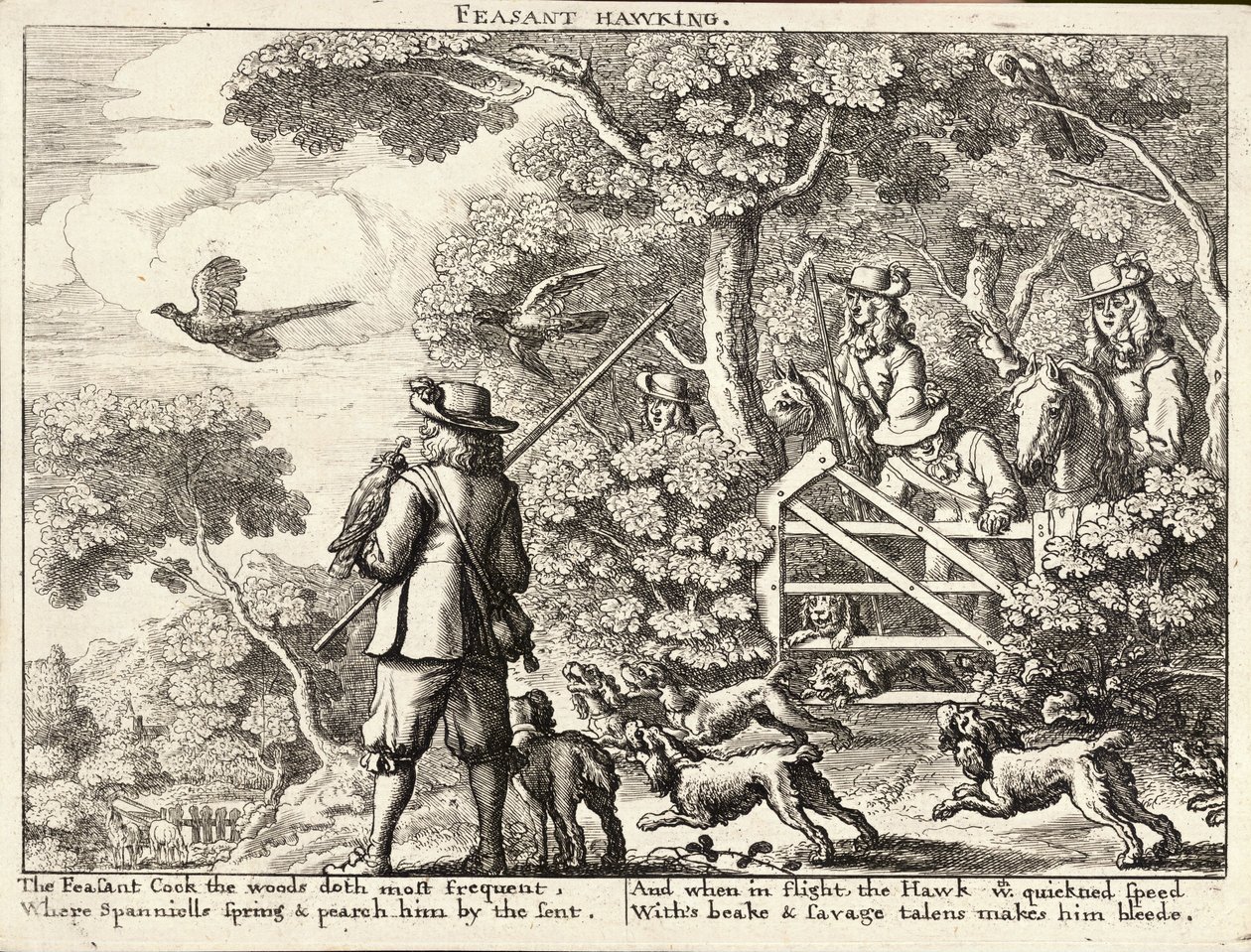 Fazantenjacht door Wenceslaus Hollar