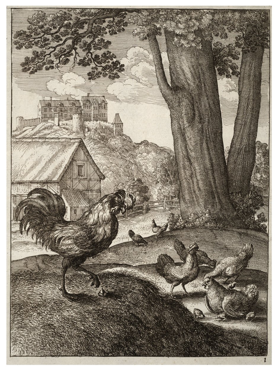 De haan en het juweel door Wenceslaus Hollar
