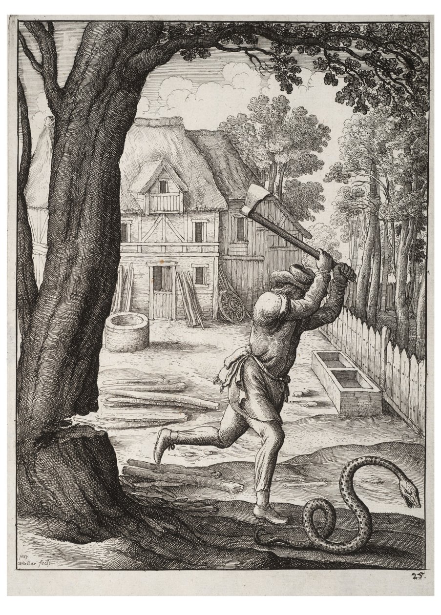 De boer en de slang door Wenceslaus Hollar