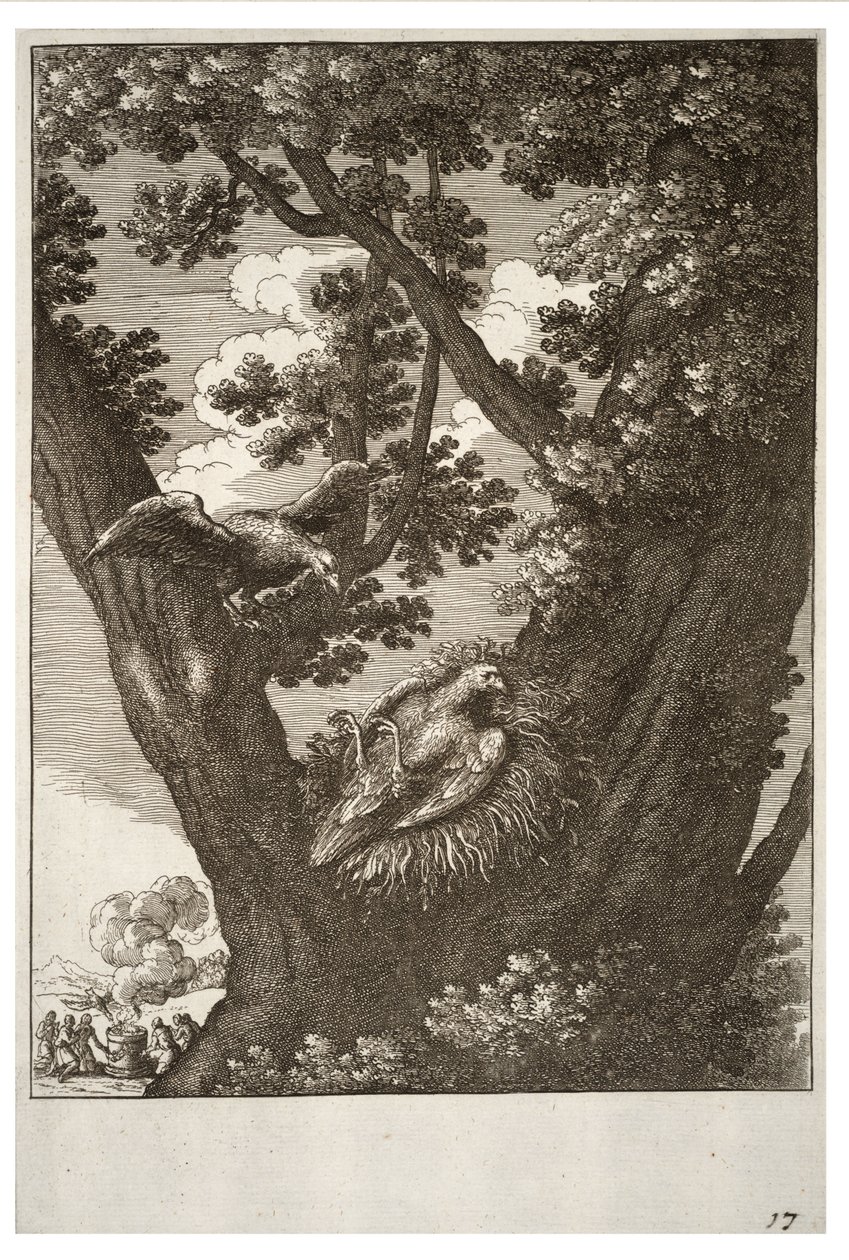 De zieke wouw en zijn moeder door Wenceslaus Hollar