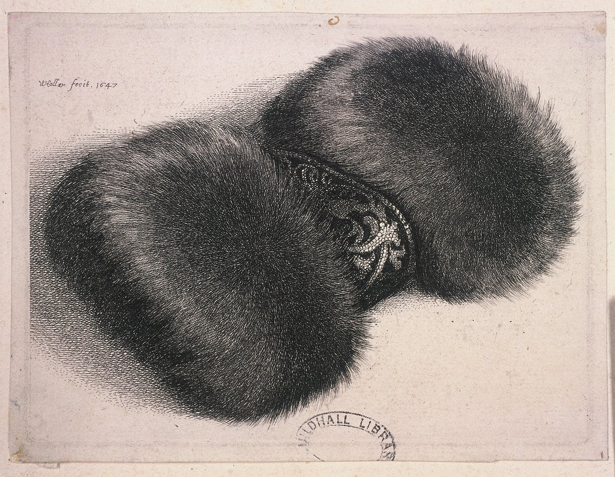 Een grote mof met een band van brokaat, 1647 door Wenceslaus Hollar