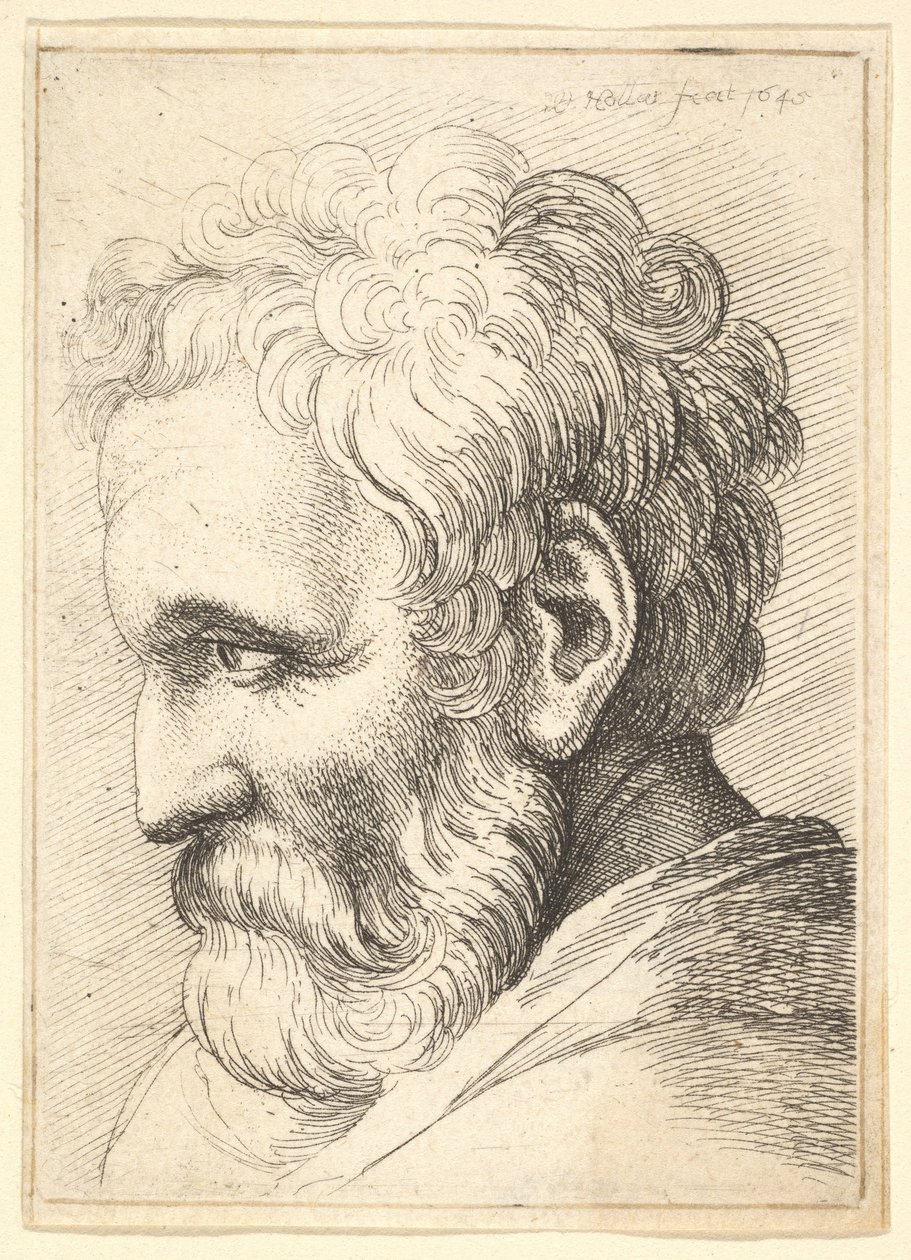 Baardige oude man, 1645 door Wenceslaus Hollar