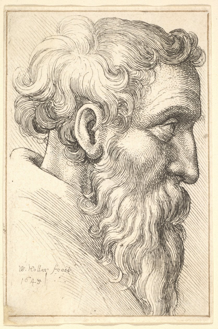 Bebaarde oude man in profiel naar rechts door Wenceslaus Hollar
