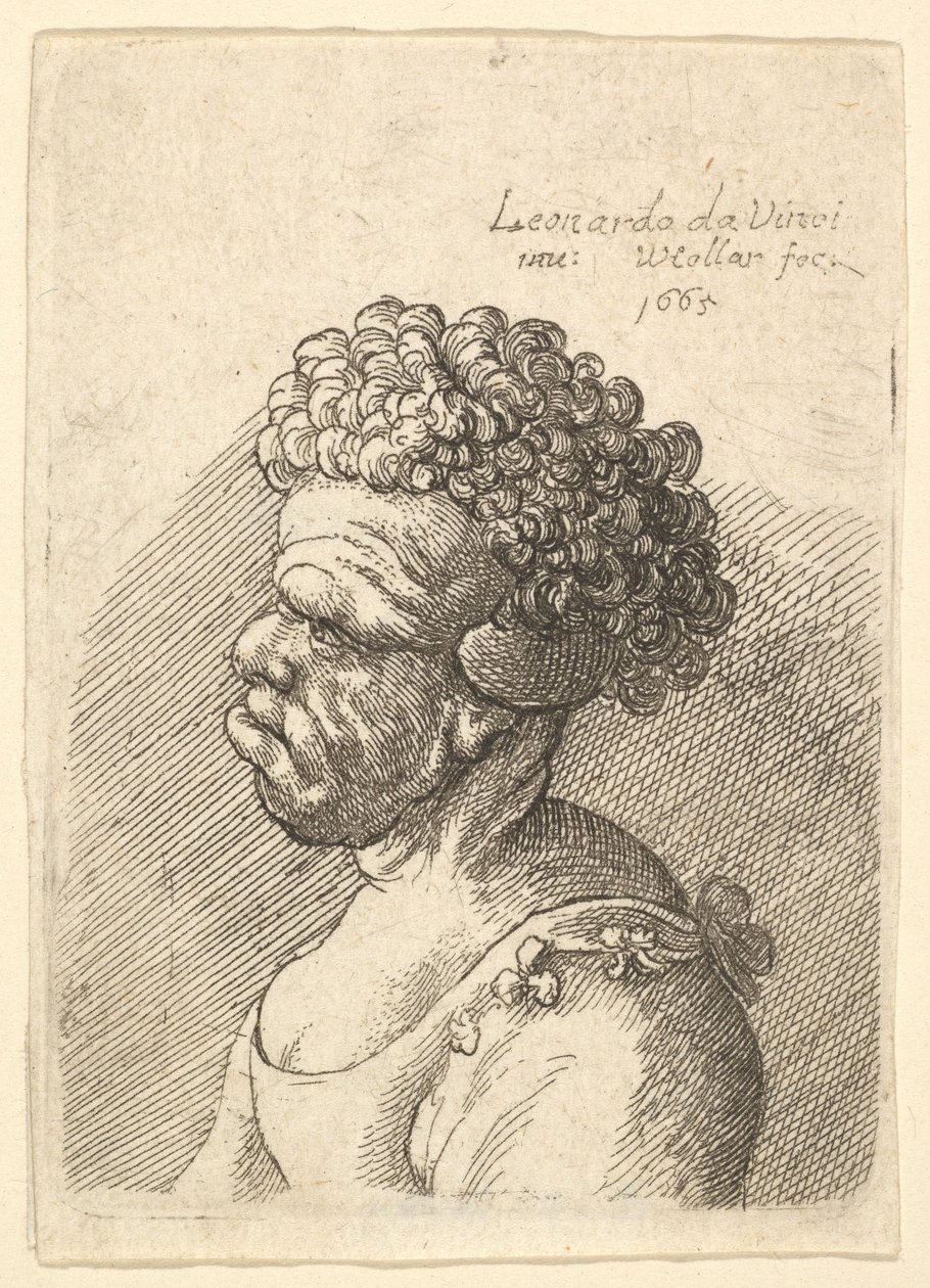 Buste van een misvormde vrouw met krullend haar in profiel naar links door Wenceslaus Hollar