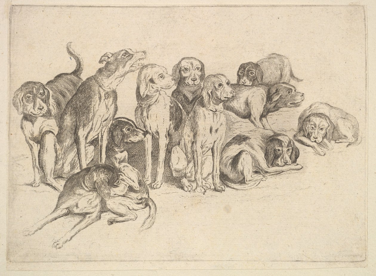 Elf jachthonden door Wenceslaus Hollar