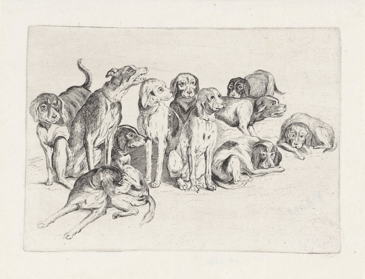 Elf jachthonden door Wenceslaus Hollar