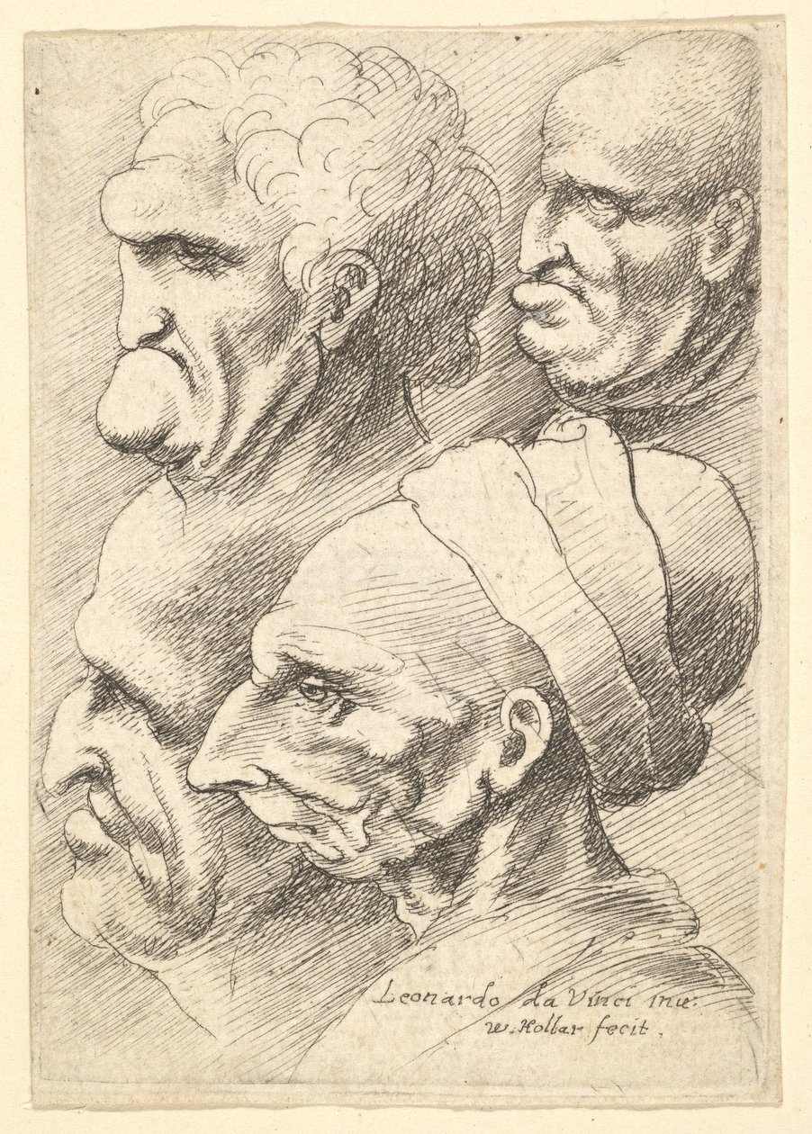 Vier groteske hoofden in profiel naar links door Wenceslaus Hollar
