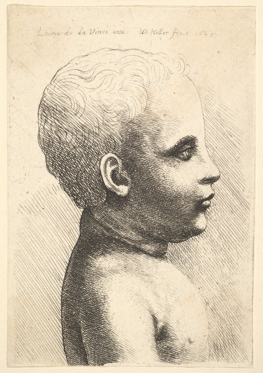 Hoofd en schouder van een kind, in profiel naar rechts, 1645 door Wenceslaus Hollar