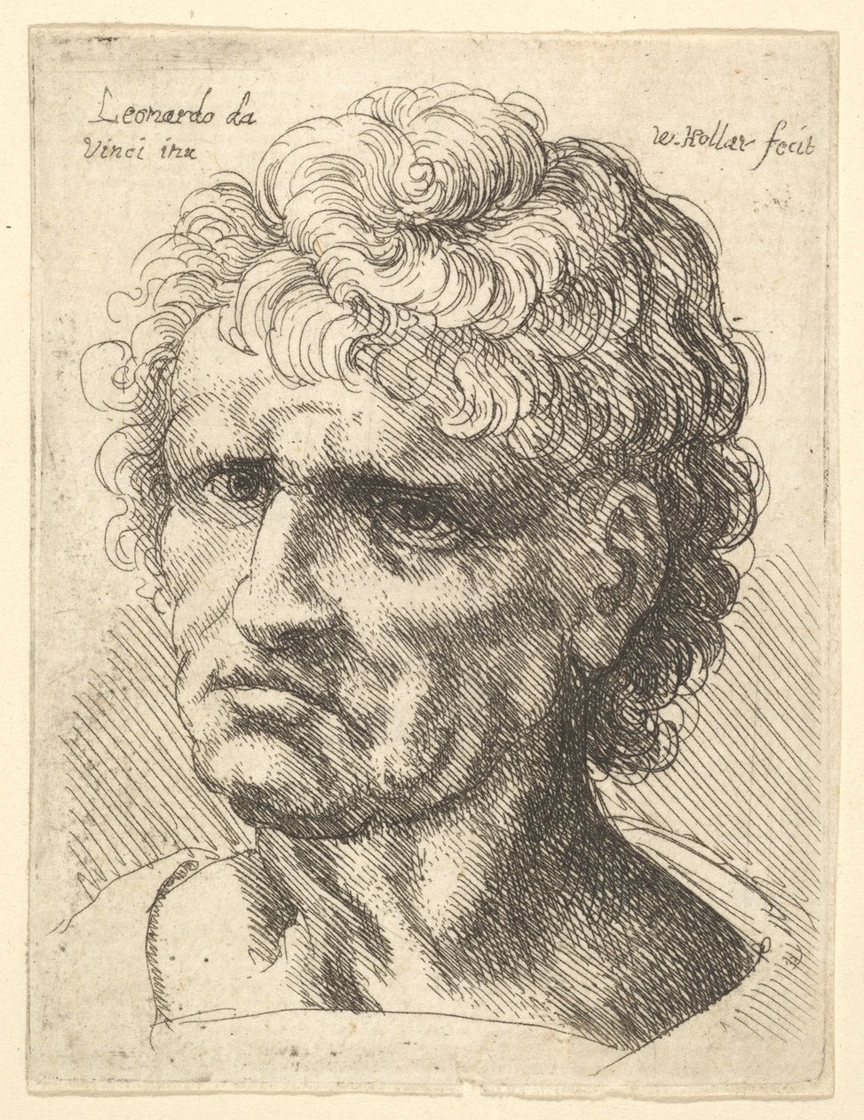 Hoofd van een man met serieuze uitdrukking, 1625-77 door Wenceslaus Hollar