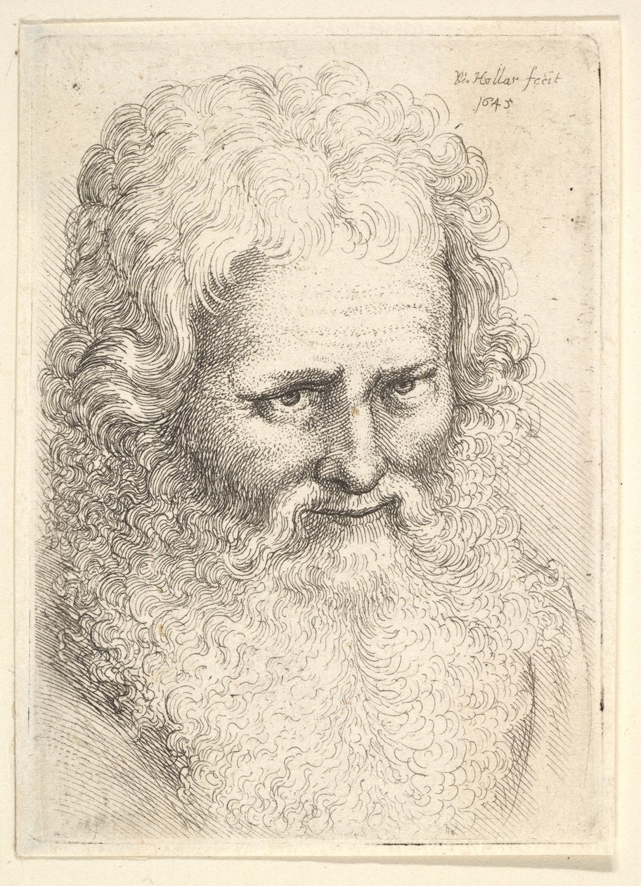 Hoofd van een oude man met een grote baard door Wenceslaus Hollar