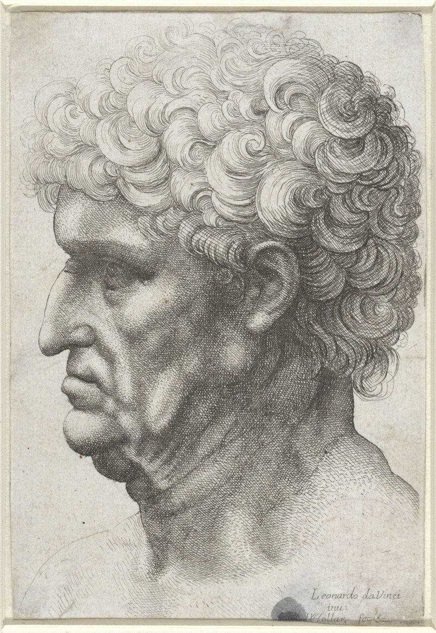 Hoofd van man met krullend haar, en profil door Wenceslaus Hollar