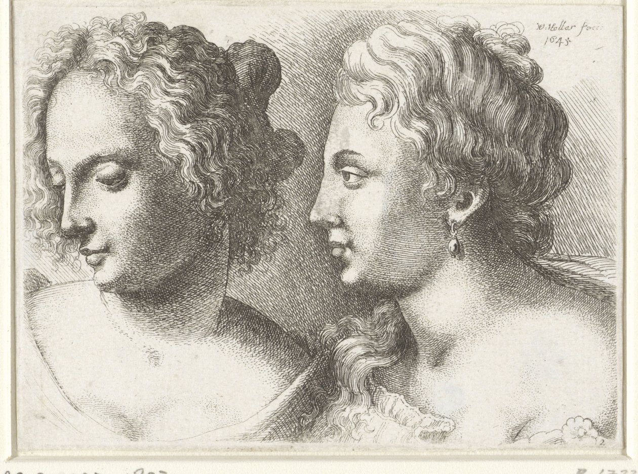 Hoofden van twee jonge vrouwen door Wenceslaus Hollar