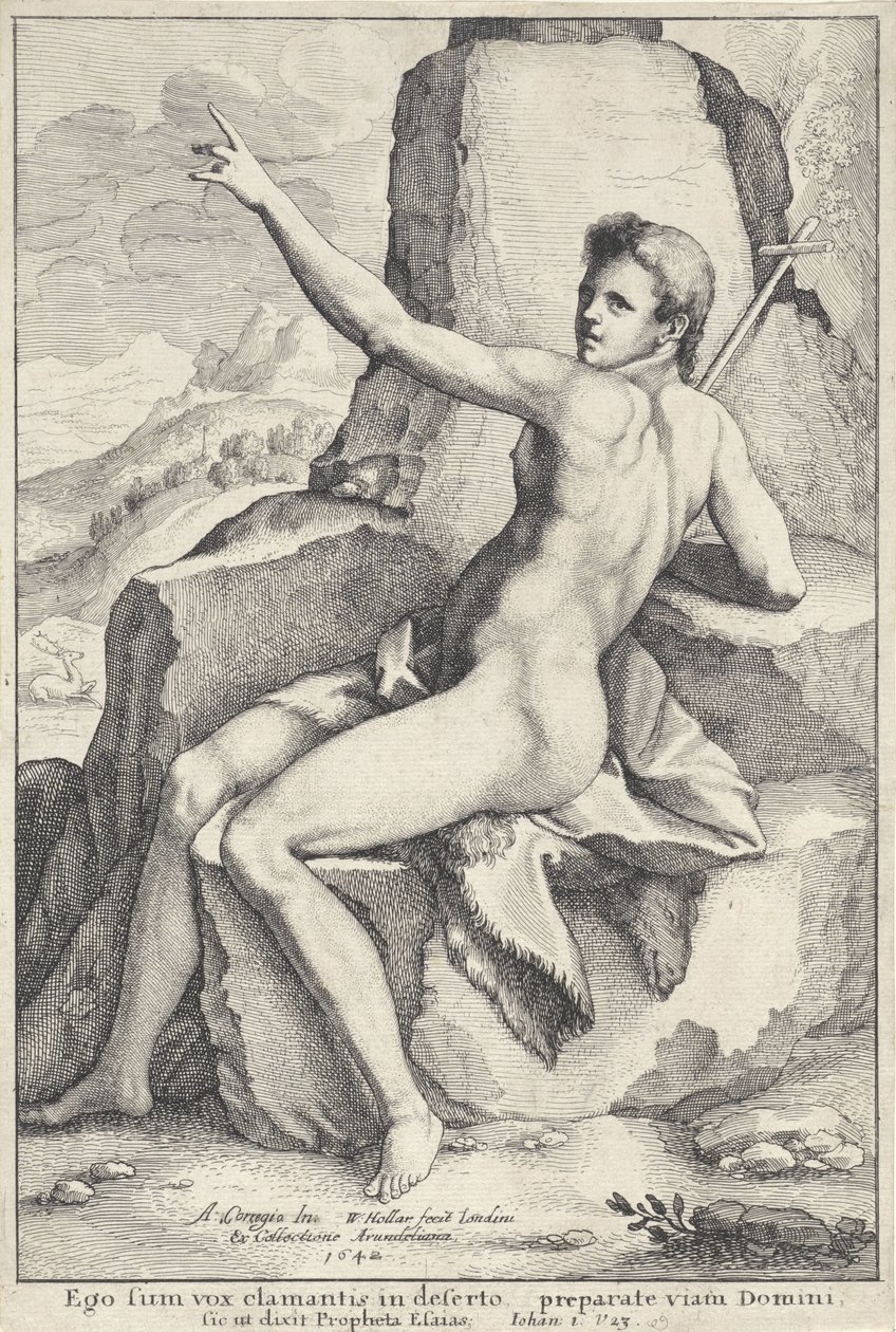 Johannes de Doper in de woestijn door Wenceslaus Hollar