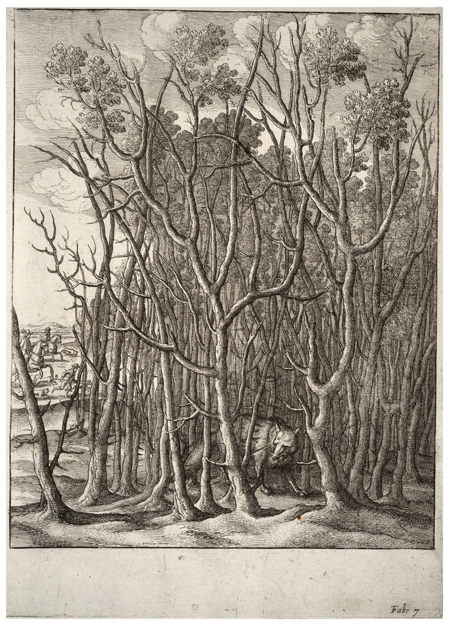 De vos en de doornstruik door Wenceslaus Hollar