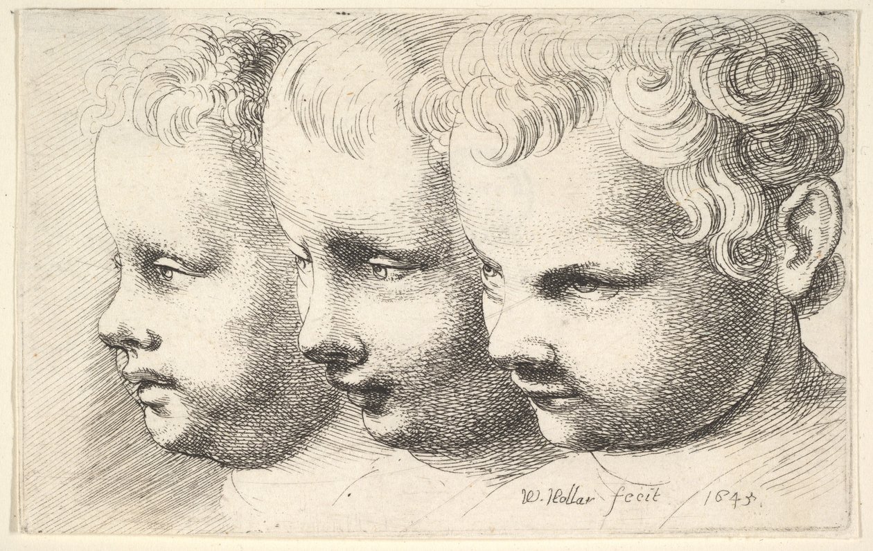 Drie kinderhoofdjes door Wenceslaus Hollar