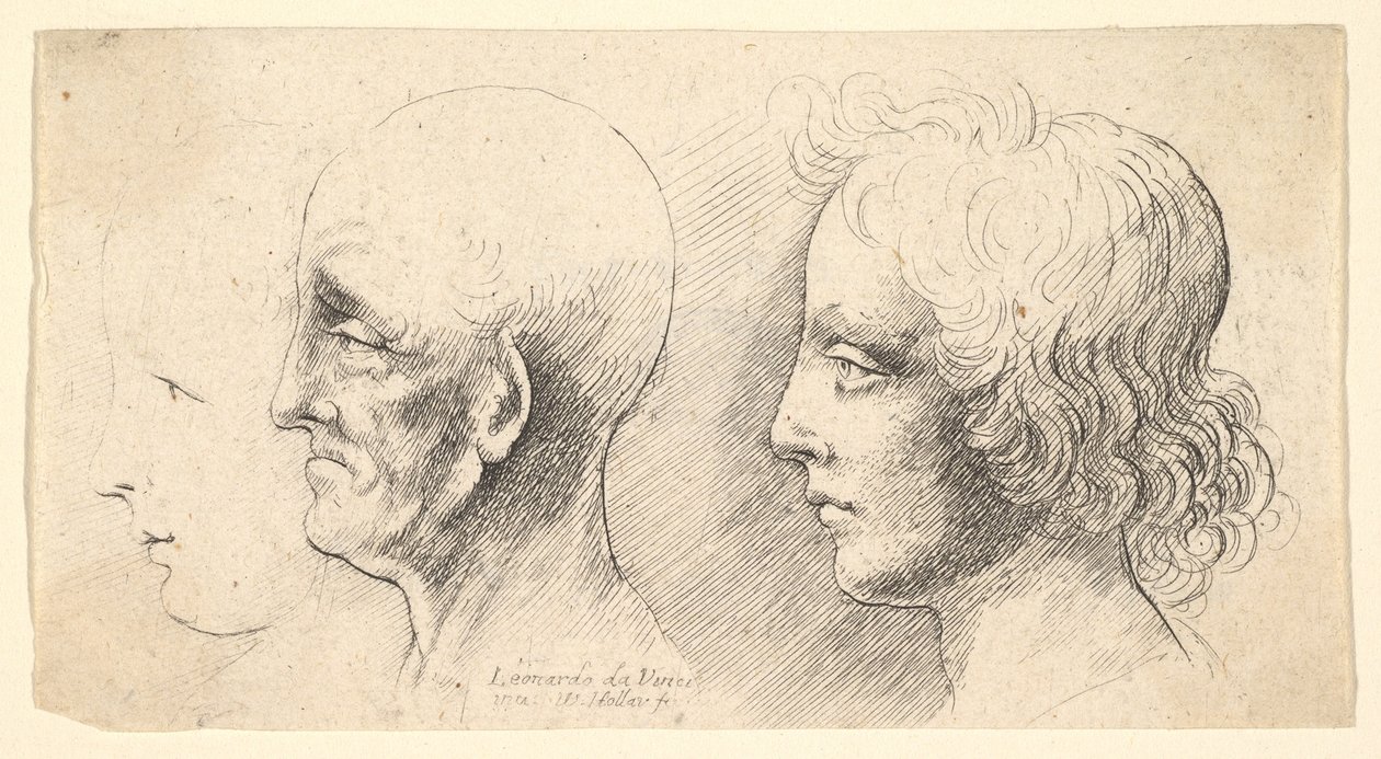 Drie profielhoofden, één alleen in omtrek, 1625-77 door Wenceslaus Hollar