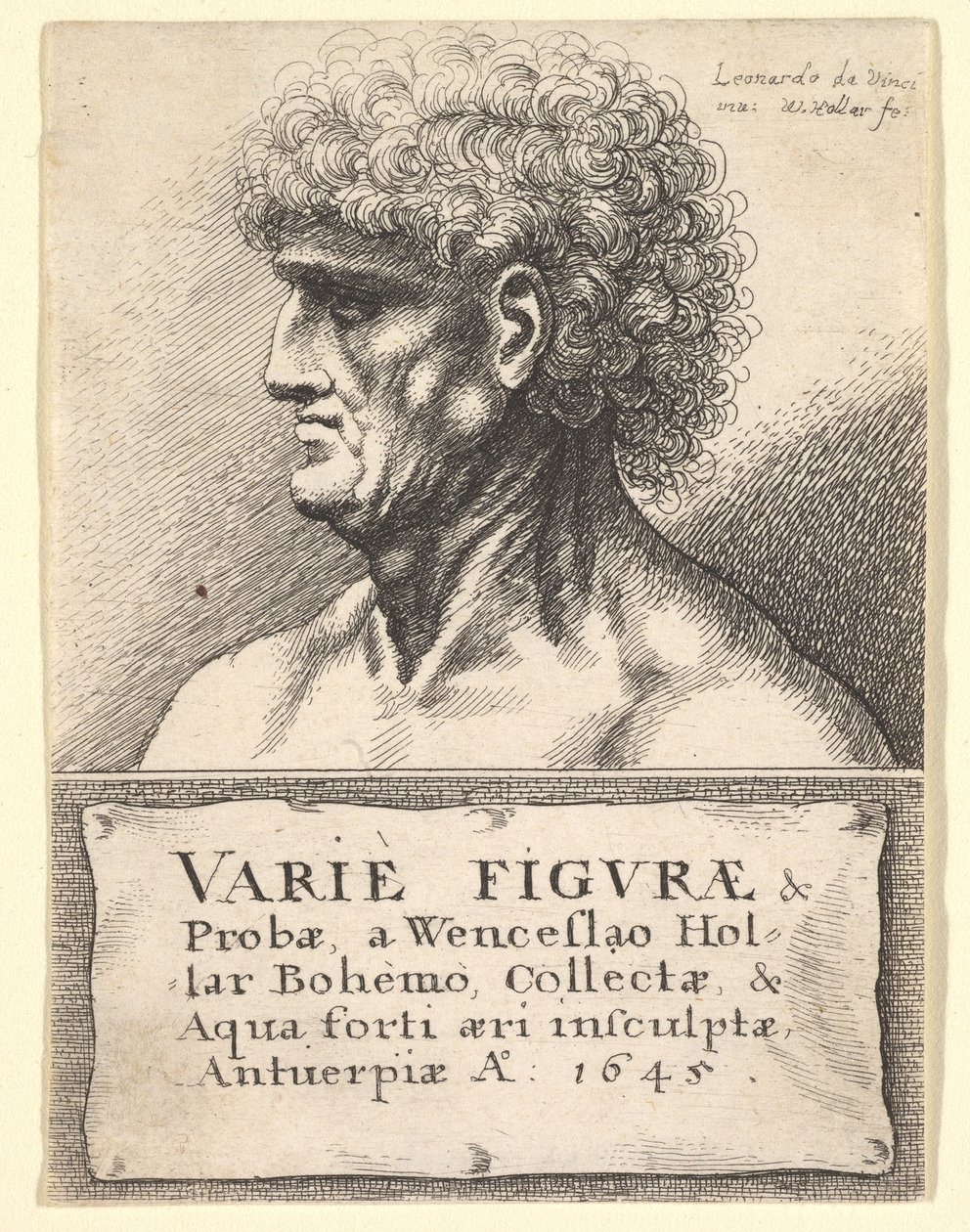 Titelpagina voor Varie Figuræ & Probæ, 1645 door Wenceslaus Hollar