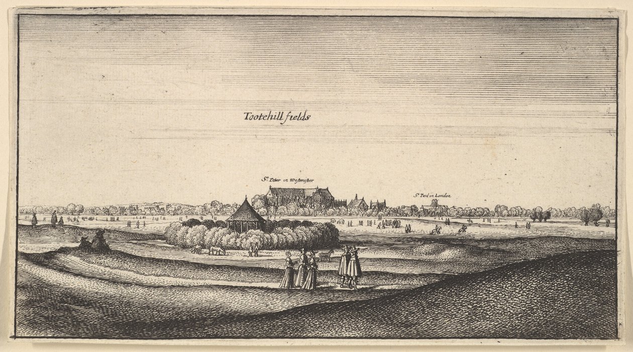 Tootehill velden Amoenissimi aliquot locorum... Prospectus door Wenceslaus Hollar