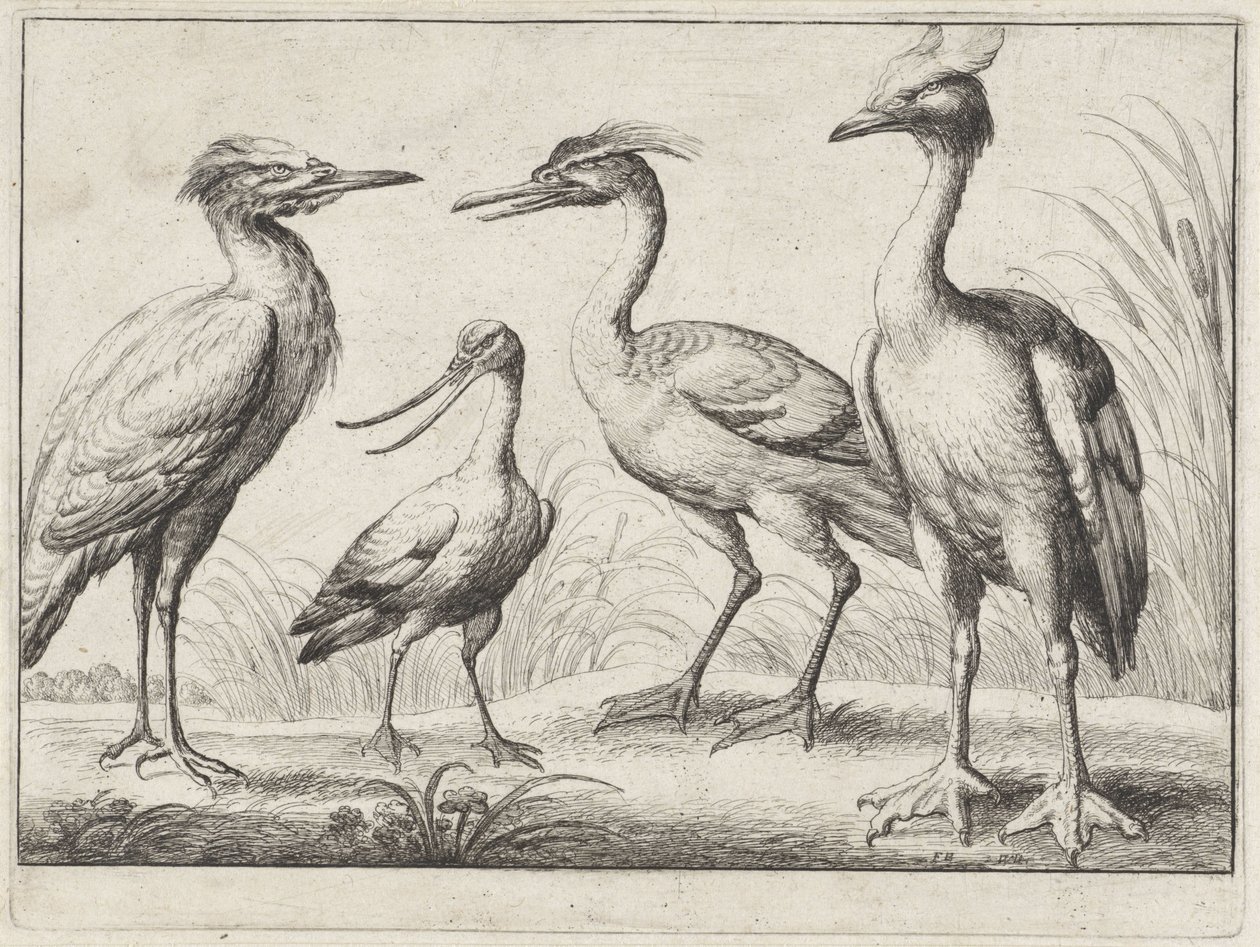 Vier waadvogels door Wenceslaus Hollar