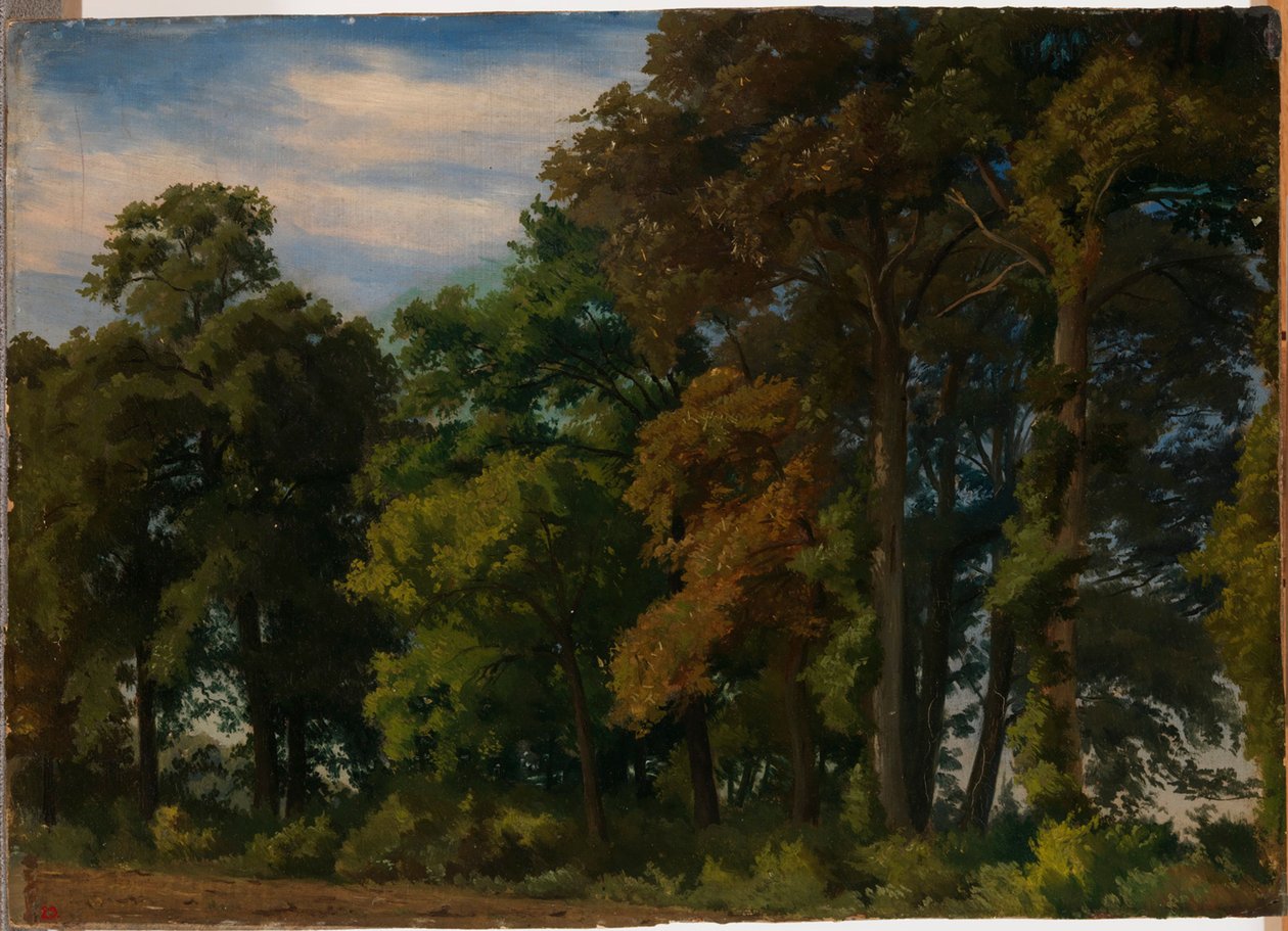 Landschap in Duitsland, studie door Werner Holmberg