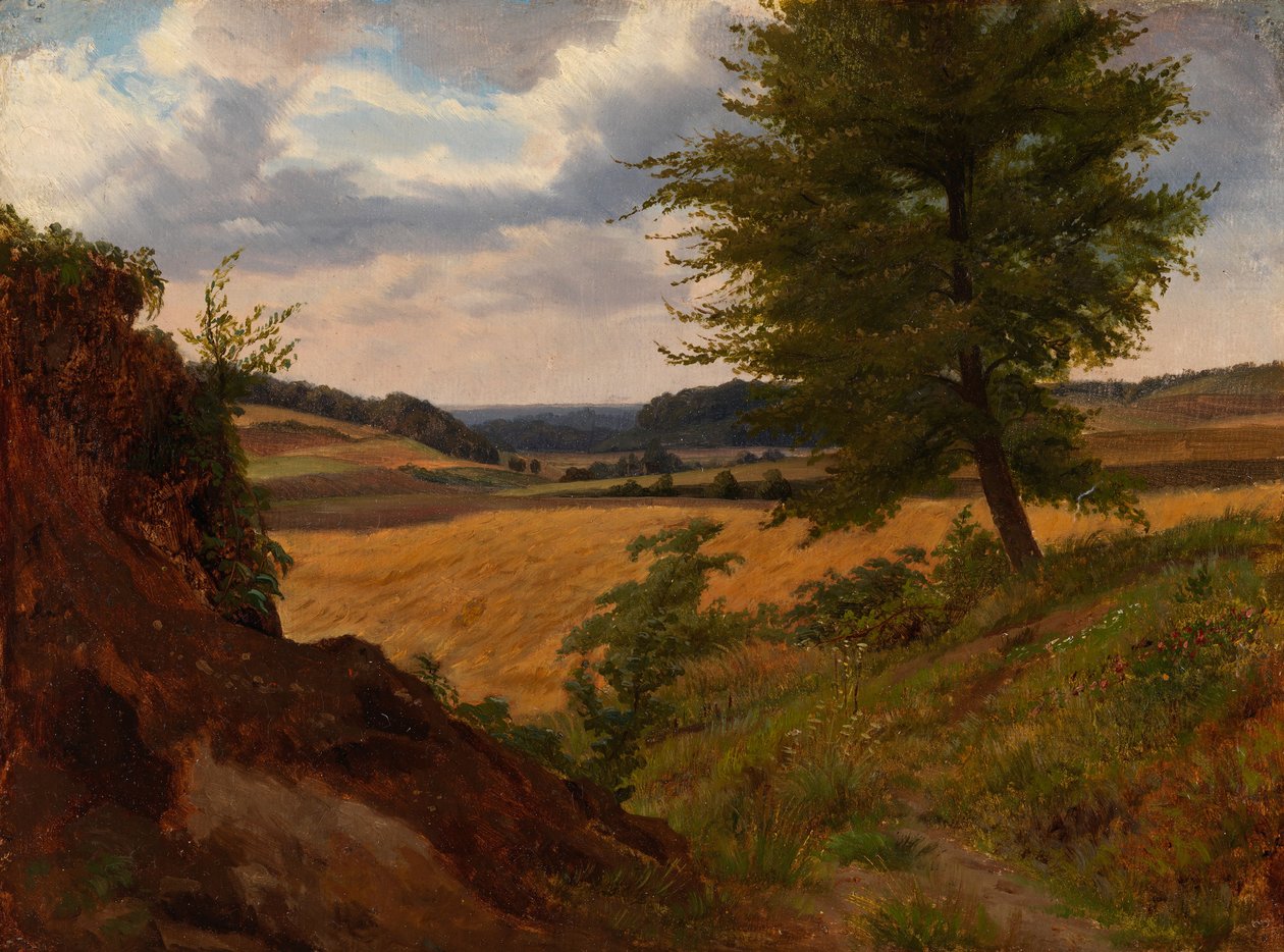 Boom in veldlandschap, studie door Werner Holmberg