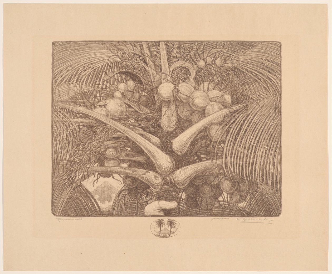 Top van een kokospalm door Wijnand Otto Jan Nieuwenkamp (signed by artist)