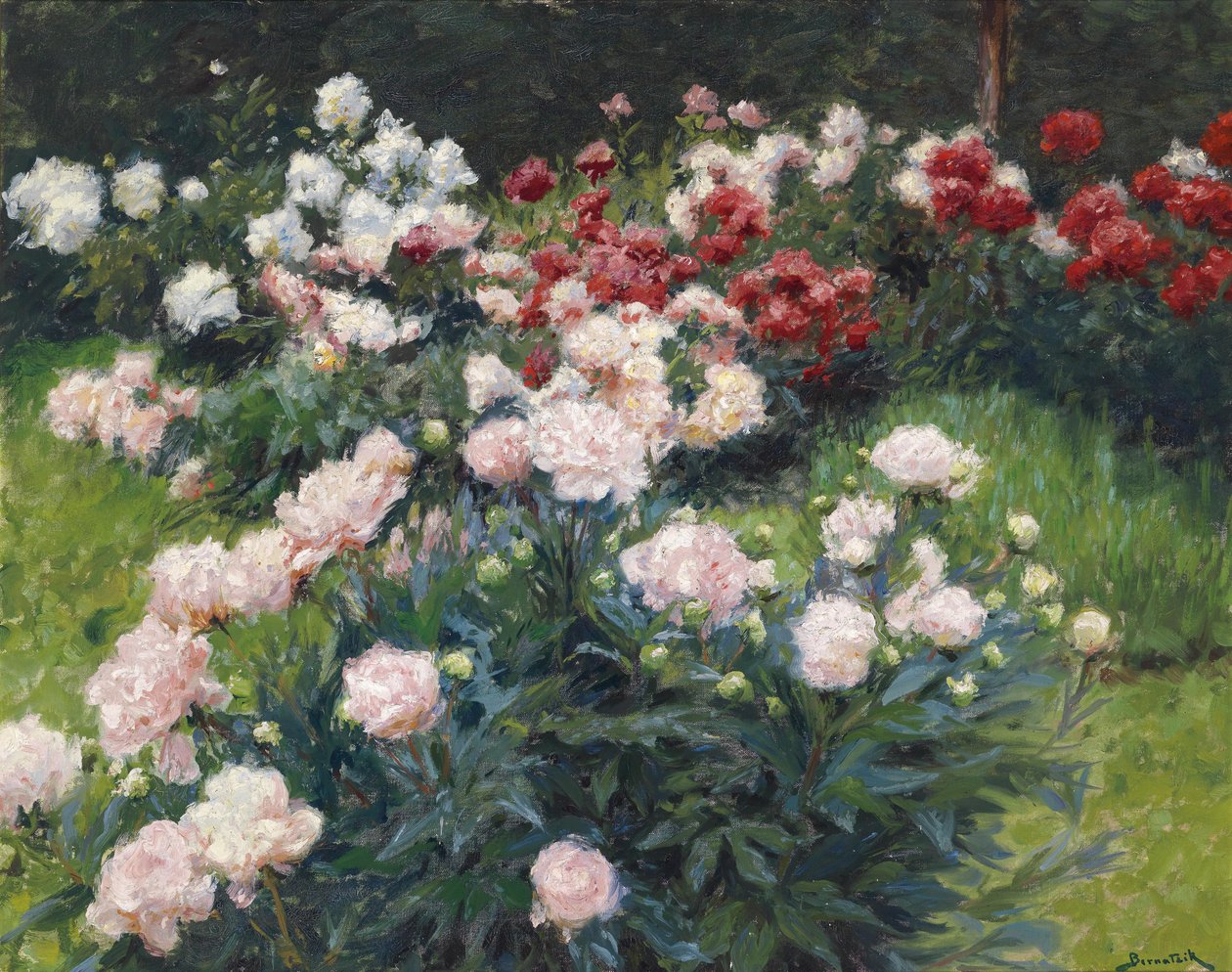 Pioenrozen door Wilhelm Bernatzik