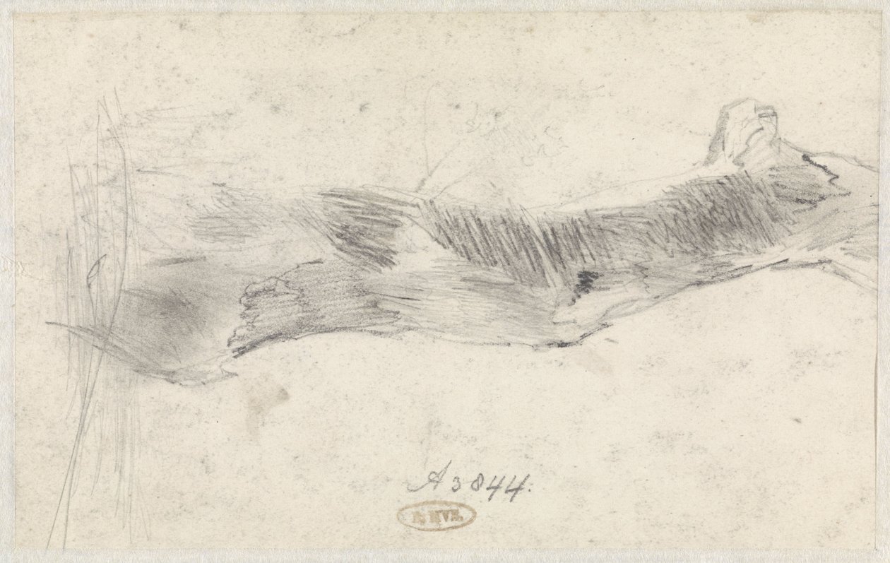 Studie van een boom door Willem Anthonie van Deventer