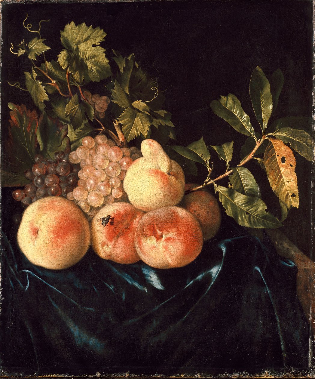 Stilleven van perziken en druiven, 1705 door Willem Frederiksz van Royen