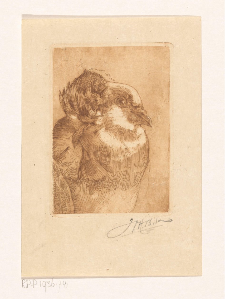 Studie van een duif door Willem Hendrik Bik (signed by artist)
