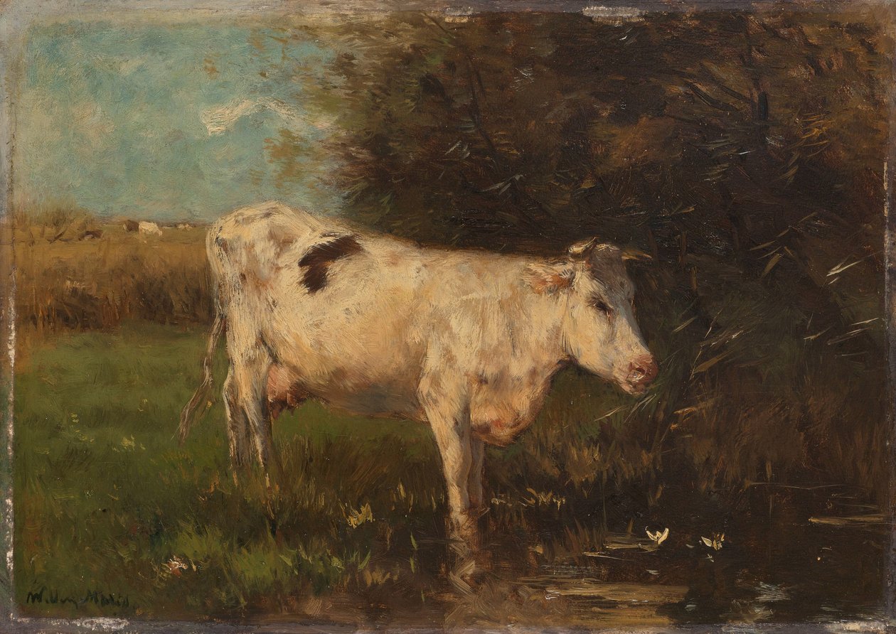 Witte Koe door Willem Maris